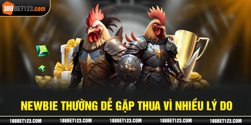 Newbie thường dễ gặp thua vì nhiều lý do