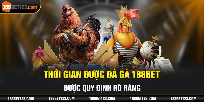 Thời gian được đá gà 188bet được quy định rõ ràng